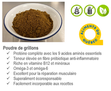 Charger l'image dans la galerie, Poudre de grillons en VRAC
